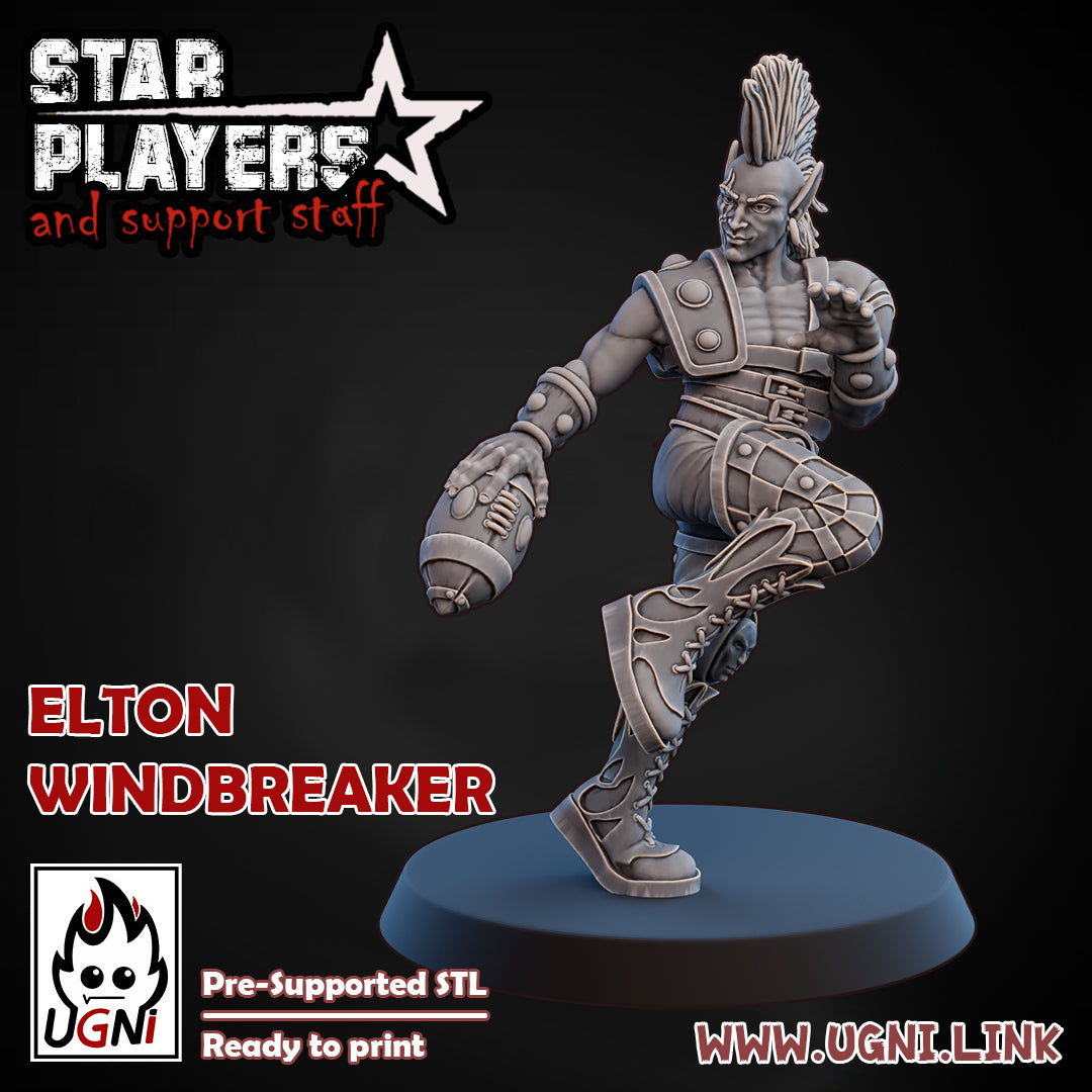 3d Printed Miniature - Bloodbowl star player Elton windbreaker