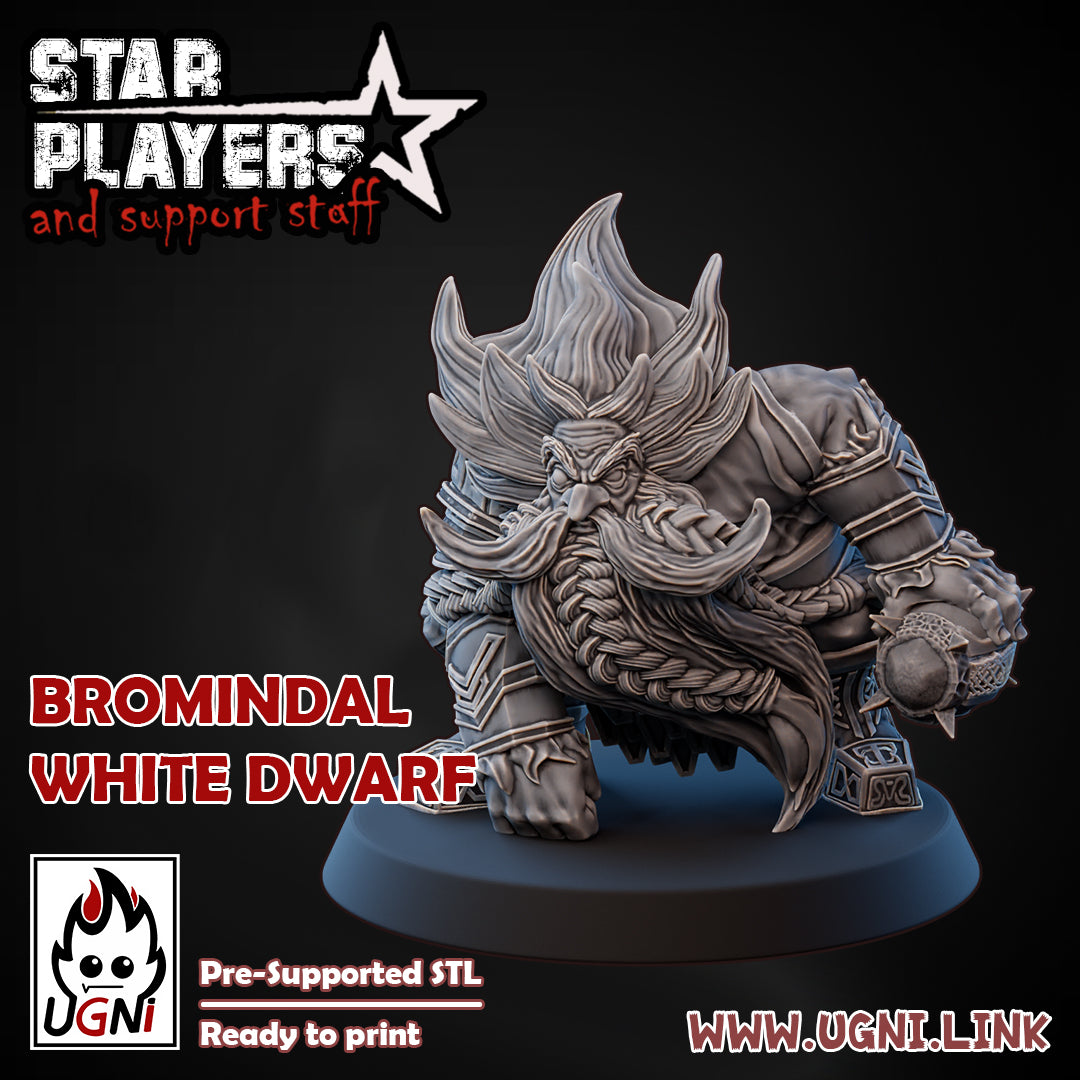 3d Printed Miniature - Bloodbowl starplayer Bromindal white dwarf (Grombrindall White Dwarf)